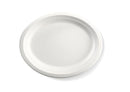 BioPak 31cm Oval BioPlates 500 per ctn